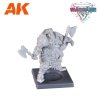 AK Interactive AK11771 NORTHERN ALLIANCE THEGN – WARGAME STARTER SET – 14 COLORS & 1 FIGURE